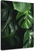 Leinwandbild monstera-blätter 70x100 cm Feeby grün wandbild Produktbild-Vorschau 1