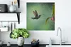 MuchoWow® Poster Kolibri im Regen auf dem Lande in Costa Produktbild-Vorschau 3