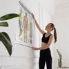 A woman is hanging an anatomical chart on a white wall. Produktbild-Vorschau