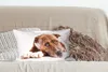 MuchoWow® Zierkissen Sofakissen Wohnzimmer Dekokissen 50x30 Produktbild-Vorschau 4