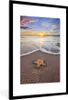 MuchoWow® MuchoWow® Gerahmtes Poster Seestern - Meer - Produktbild-Vorschau 7