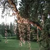 LED Lichterkette - Serie LED - outdoor - 800 neutralweiße LED - L: 16m - schwarzes Kabel Produktbild-Vorschau
