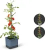 Gusta Garden TOM TOMATO Standard-Pflanzgefäß mit Produktbild-Vorschau 28