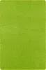 A plain green rug with a yellow border.
