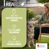 REAVET Wurm-Kraut Kapseln 50 Stück - für Hunde, mit echtem Produktbild-Vorschau 5