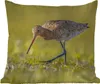 MuchoWow® Outdoor Kissen - Vögel - Gras - Landschaft - Produktbild-Vorschau 1