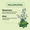 Petal Fresh Shampoo Rosemary & Mint Productafbeelding-voorbeeld 5