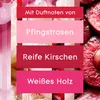 Glade Automatic Spray Nachfüller Luscious Cherry & Peony, Produktbild-Vorschau 7