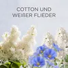Air Wick Duftölflakon eCom Starter-Set Baumwolle & Weißer Produktbild-Vorschau 6