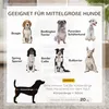 PawHut Hunderampe Rutschfeste Haustierrampe, Produktbild-Vorschau 7