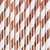 PartyDeco SPP1M-019RJ, Roségold, Weiß, Papier, 195 mm, 10 Produktbild-Vorschau 5
