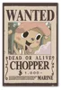 Poster One Piece Wanted Chopper, Dead or Alive 61 x 91,5 cm Anteprima dell’immagine prodotto 1