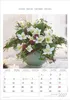 Blumen 2027 Produktbild-Vorschau 2