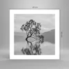 Poster - Poster ohne Rahmen - Baum Symmetrie See - 40x40 cm Produktbild-Vorschau 4