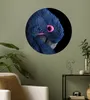 MuchoWow® - Wand Kreis - Wand Bild - Foto Tapete - Produktbild-Vorschau 2