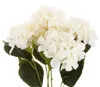 Hortensia Dense Beau Bouquet D'hortensias Fleurs Voir les images du produit 3