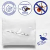 CloudComfort Basic Mikrofaser Kopfkissen 80 x 80 cm Produktbild-Vorschau 7