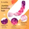 Ombre Flechthaar, trecce jumbo, 60 cm, colore Anteprima dell’immagine prodotto 2