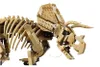 LEGO Jurassic World Szkielety dinozaurów: triceratops, Podgląd zdjęcia produktu 12