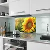 Küchenrückwand Spritzschutz Glas mit Motiv Sonnenblume Produktbild-Vorschau 2