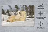 MuchoWow® Mauspad Mousepad Eisbär - Schnee - Höhle - Produktbild-Vorschau 2
