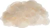 Capiz Perlmutt Muschelscheiben - Camar Scheiben | Produktbild-Vorschau 1