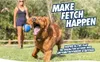 Chuckit Ultra Squeaker Ball M 2ks Náhľad obrázku produktu 5