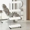Carrello per Estetisti per parrucchieri per salone HL-8713 Anteprima dell’immagine prodotto 4
