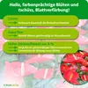 Purgrün Anthurium-Dünger | Flüssigdünger für Blüten & Produktbild-Vorschau 3