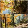 Wanduhr - Rund - Glasuhr - Herbst berg wald natur - 40x40cm Produktbild-Vorschau 8