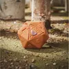 Dungeons & Dragons Beholder, 8 Jahr(e), Dungeons & Dragons Produktbild-Vorschau 11