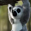 Przytulanka Lemur Animigos Podgląd zdjęcia produktu 4