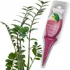 Zamioculcas Pflegedünger Starker Applikator 30 ml Produktbild-Vorschau 7
