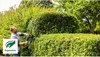 Taille-haie BOSCH AdvancedHedgeCut 70 - 06008C0903 Voir les images du produit 11