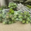 Simulation Sukkulente verblasst nicht realistisch Produktbild-Vorschau 3