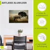 ARTland Wandbild Alu für Innen & Outdoor Lorbeerbaum Größe: Produktbild-Vorschau 3