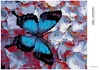 Diamondi - Diamond painting - BLAUER SCHMETTERLING UND Produktbild-Vorschau 3