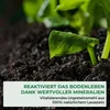 Allflor pierwotna mączka skalna 10 kg - dla lepszych plonów Podgląd zdjęcia produktu 2
