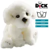 Carl Dick Bichon cane seduto ca. 24 cm 3216 Peluche, Anteprima dell’immagine prodotto 2