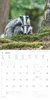 Alpha Edition - Tierbabys Kalender 2026 - Wandkalender Produktbild-Vorschau 8