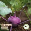 Samenliebe  Kohlrabi Samen | Purple Vienna - violett - Produktbild-Vorschau 4