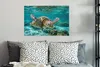 MuchoWow® - Leinwandbilder - Eine Schildkröte schwimmt Produktbild-Vorschau 5