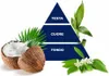 Felce Azzurra Cocconut e Bamboo douchegel 650 ml Produktbild-Vorschau 4