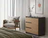 Komoda Malwa 1D3S ANTRACYT ARTISAN Podgląd zdjęcia produktu 3