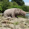 Plüsch-Nilpferd 30 cm umweltfreundlich Produktbild-Vorschau 3