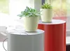 Two potted succulents are displayed on cylindrical stands in front of a window. Anteprima dell’immagine prodotto