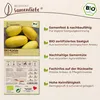 Samenliebe  Kürbis Samen | Spaghetti Kürbis - gelb - Produktbild-Vorschau 3