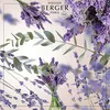 Maison Berger PARIS Kvitnúca levanduľa - Maison Berger Náhľad obrázku produktu 3