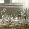 12 pièces de vase en verre ，Décoration de la maison vase de Voir les images du produit 1