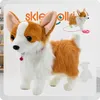 Lolex | Interaktiver Hund - Corgi - Bunt - Realistische Produktbild-Vorschau 2